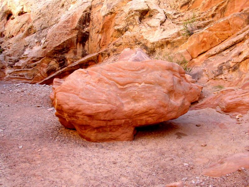 04160302LittleWildHorse (1081)